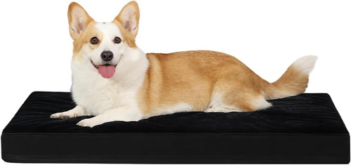 Orthopedic dog bed - dog,